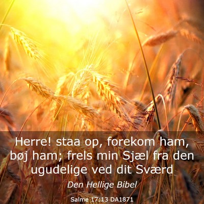 Picture 03 - Salme 17:13 DA1871 - Herre! staa op, forekom ham, bøj ham; frels min - Bible Verse Picture
