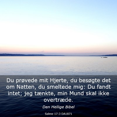Picture 03 - Salme 17:3 DA1871 - Du prøvede mit Hjerte, du besøgte det om - Bible Verse Picture