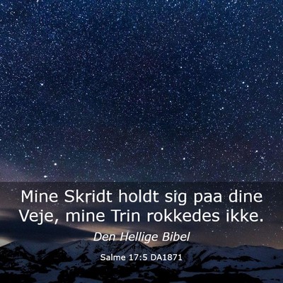 Picture 03 - Salme 17:5 DA1871 - Mine Skridt holdt sig paa dine Veje, mine Trin - Bible Verse Picture