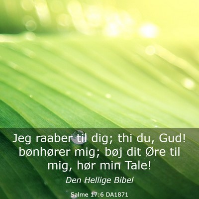 Picture 03 - Salme 17:6 DA1871 - Jeg raaber til dig; thi du, Gud! bønhører mig; - Bible Verse Picture