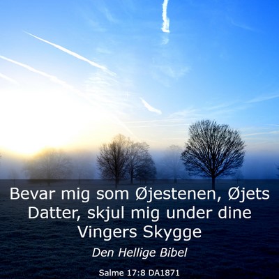 Picture 03 - Salme 17:8 DA1871 - Bevar mig som Øjestenen, Øjets Datter, skjul - Bible Verse Picture