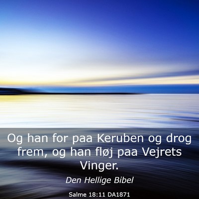 Picture 03 - Salme 18:11 DA1871 - Og han for paa Keruben og drog frem, og han fløj - Bible Verse Picture