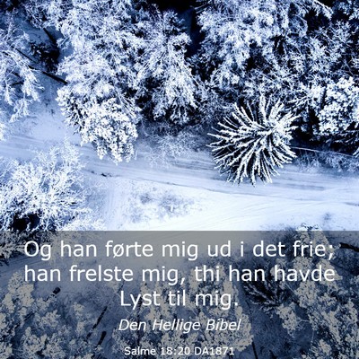 Picture 03 - Salme 18:20 DA1871 - Og han førte mig ud i det frie; han frelste mig, - Bible Verse Picture