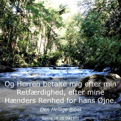 Picture 03 - Salme 18:25 DA1871 - Og Herren betalte mig efter min Retfærdighed, - Bible Verse Picture