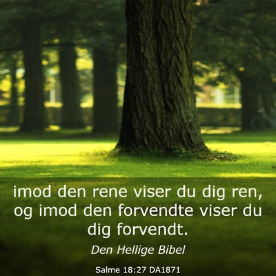 Picture 03 - Salme 18:27 DA1871 - imod den rene viser du dig ren, og imod den - Bible Verse Picture