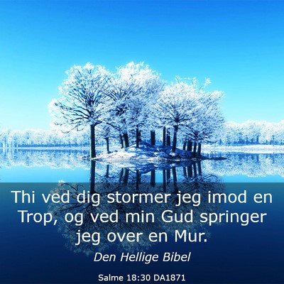 Picture 03 - Salme 18:30 DA1871 - Thi ved dig stormer jeg imod en Trop, og ved min - Bible Verse Picture