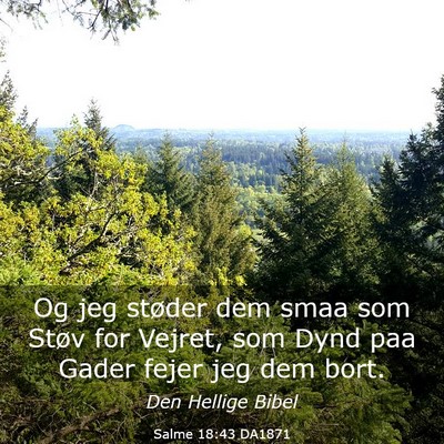 Picture 03 - Salme 18:43 DA1871 - Og jeg støder dem smaa som Støv for Vejret, som - Bible Verse Picture