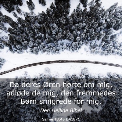 Picture 03 - Salme 18:45 DA1871 - Da deres Øren hørte om mig, adløde de mig, den - Bible Verse Picture