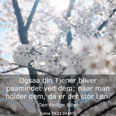 Picture 03 - Salme 19:12 DA1871 - Ogsaa din Tjener bliver paamindet ved dem; naar - Bible Verse Picture