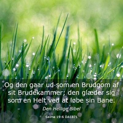 Picture 03 - Salme 19:6 DA1871 - Og den gaar ud som en Brudgom af sit Brudekammer; - Bible Verse Picture