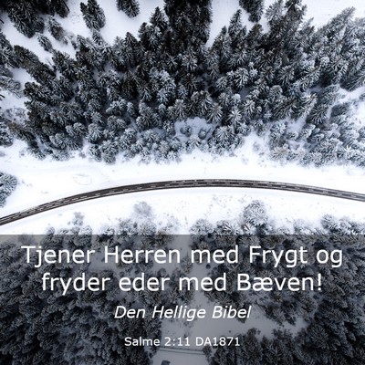 Picture 03 - Salme 2:11 DA1871 - Tjener Herren med Frygt og fryder eder med - Bible Verse Picture