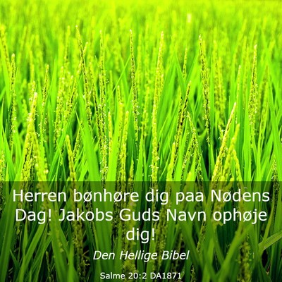 Picture 03 - Salme 20:2 DA1871 - Herren bønhøre dig paa Nødens Dag! Jakobs Guds - Bible Verse Picture