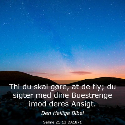 Picture 03 - Salme 21:13 DA1871 - Thi du skal gøre, at de fly; du sigter med dine - Bible Verse Picture