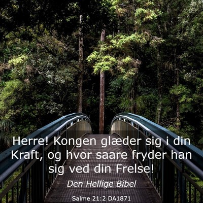 Picture 03 - Salme 21:2 DA1871 - Herre! Kongen glæder sig i din Kraft, og hvor - Bible Verse Picture