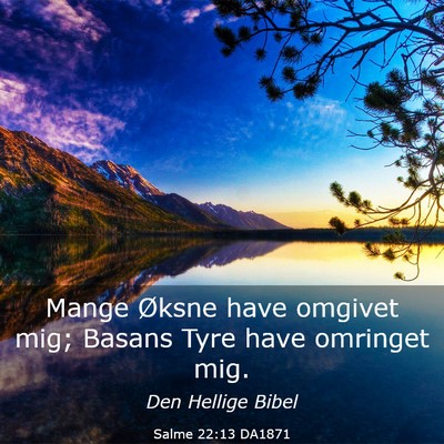 Picture 03 - Salme 22:13 DA1871 - Mange Øksne have omgivet mig; Basans Tyre have - Bible Verse Picture