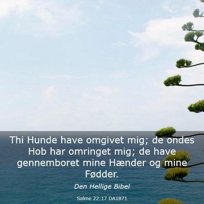 Picture 03 - Salme 22:17 DA1871 - Thi Hunde have omgivet mig; de ondes Hob har - Bible Verse Picture