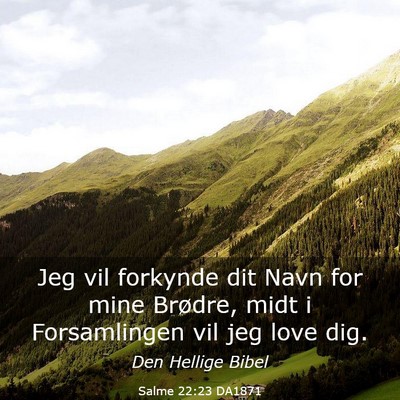 Picture 03 - Salme 22:23 DA1871 - Jeg vil forkynde dit Navn for mine Brødre, midt - Bible Verse Picture