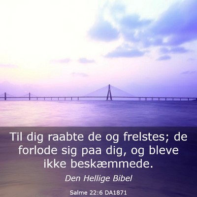 Picture 03 - Salme 22:6 DA1871 - Til dig raabte de og frelstes; de forlode sig paa - Bible Verse Picture