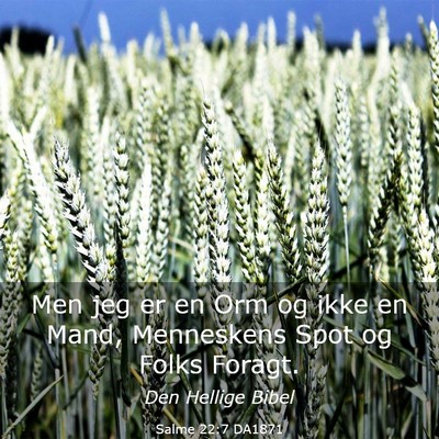 Picture 03 - Salme 22:7 DA1871 - Men jeg er en Orm og ikke en Mand, Menneskens - Bible Verse Picture