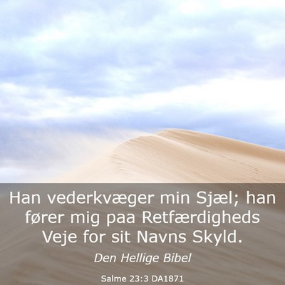 Picture 03 - Salme 23:3 DA1871 - Han vederkvæger min Sjæl; han fører mig paa - Bible Verse Picture