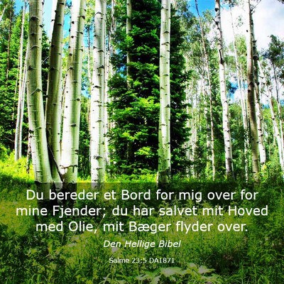 Picture 03 - Salme 23:5 DA1871 - Du bereder et Bord for mig over for mine Fjender; - Bible Verse Picture