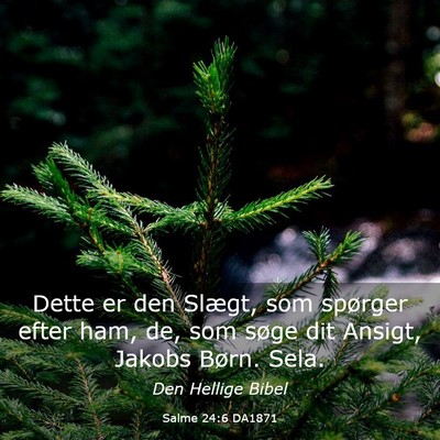 Picture 03 - Salme 24:6 DA1871 - Dette er den Slægt, som spørger efter ham, de, - Bible Verse Picture