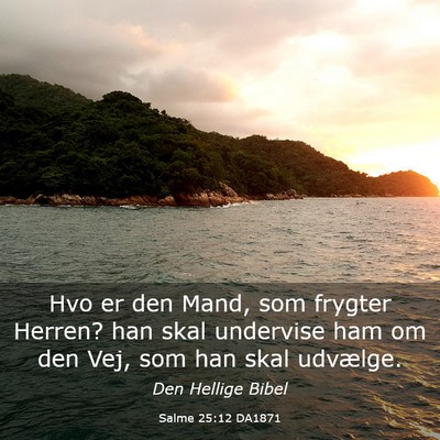 Picture 03 - Salme 25:12 DA1871 - Hvo er den Mand, som frygter Herren? han skal - Bible Verse Picture