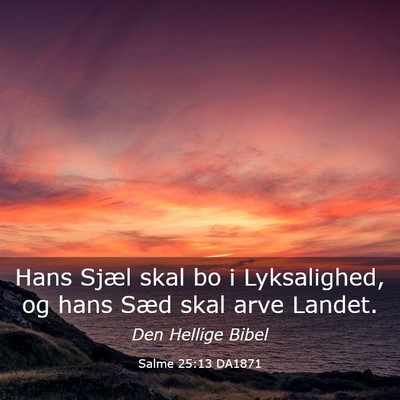 Picture 03 - Salme 25:13 DA1871 - Hans Sjæl skal bo i Lyksalighed, og hans Sæd - Bible Verse Picture