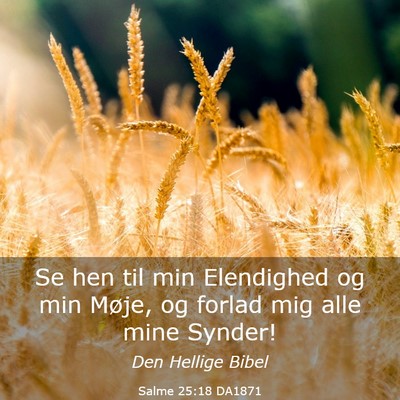 Picture 03 - Salme 25:18 DA1871 - Se hen til min Elendighed og min Møje, og forlad - Bible Verse Picture