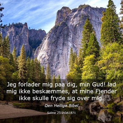 Picture 03 - Salme 25:2 DA1871 - Jeg forlader mig paa dig, min Gud! lad mig ikke - Bible Verse Picture