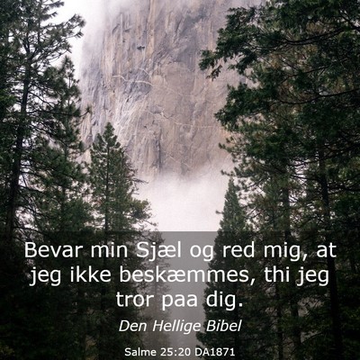 Picture 03 - Salme 25:20 DA1871 - Bevar min Sjæl og red mig, at jeg ikke - Bible Verse Picture