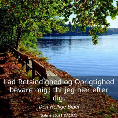 Picture 03 - Salme 25:21 DA1871 - Lad Retsindighed og Oprigtighed bevare mig; thi - Bible Verse Picture