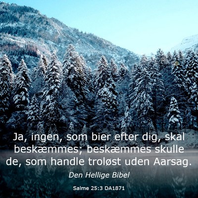 Picture 03 - Salme 25:3 DA1871 - Ja, ingen, som bier efter dig, skal beskæmmes; - Bible Verse Picture