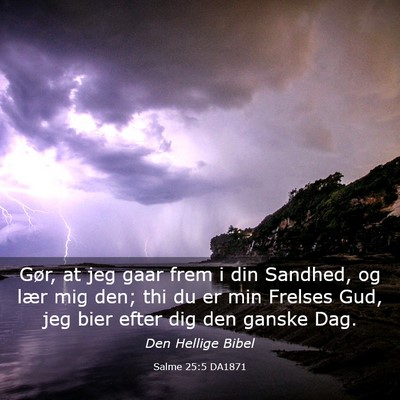 Picture 03 - Salme 25:5 DA1871 - Gør, at jeg gaar frem i din Sandhed, og lær mig - Bible Verse Picture