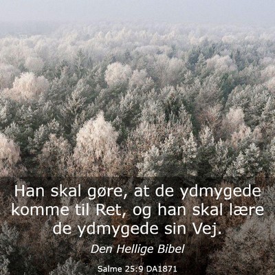 Picture 03 - Salme 25:9 DA1871 - Han skal gøre, at de ydmygede komme til Ret, og - Bible Verse Picture