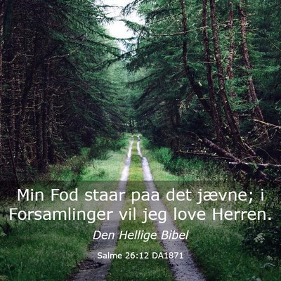 Picture 03 - Salme 26:12 DA1871 - Min Fod staar paa det jævne; i Forsamlinger vil - Bible Verse Picture