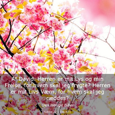 Picture 03 - Salme 27:1 DA1871 - Af David. Herren er mit Lys og min Frelse, for - Bible Verse Picture
