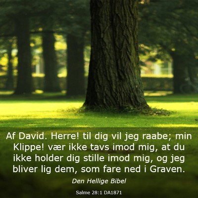 Picture 03 - Salme 28:1 DA1871 - Af David. Herre! til dig vil jeg raabe; min - Bible Verse Picture