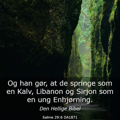 Picture 03 - Salme 29:6 DA1871 - Og han gør, at de springe som en Kalv, Libanon - Bible Verse Picture
