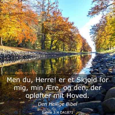 Picture 03 - Salme 3:4 DA1871 - Men du, Herre! er et Skjold for mig, min Ære, og - Bible Verse Picture