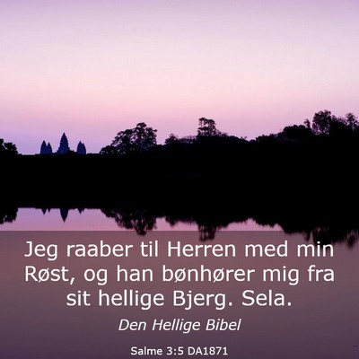 Picture 03 - Salme 3:5 DA1871 - Jeg raaber til Herren med min Røst, og han - Bible Verse Picture