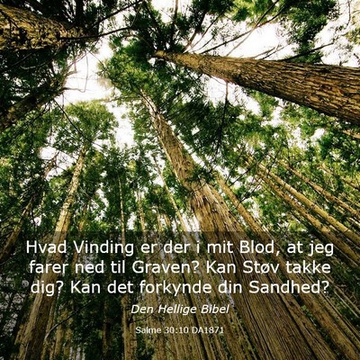 Picture 03 - Salme 30:10 DA1871 - Hvad Vinding er der i mit Blod, at jeg farer ned - Bible Verse Picture
