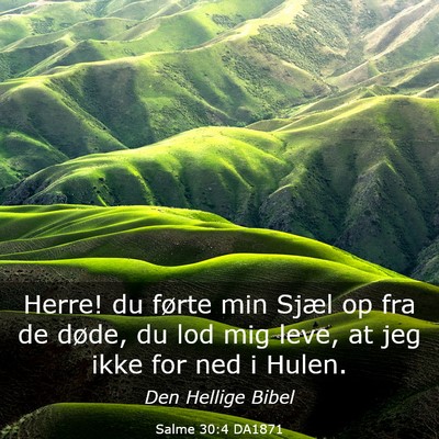 Picture 03 - Salme 30:4 DA1871 - Herre! du førte min Sjæl op fra de døde, du - Bible Verse Picture