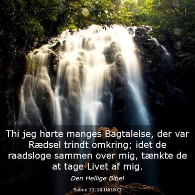 Picture 03 - Salme 31:14 DA1871 - Thi jeg hørte manges Bagtalelse, der var Rædsel - Bible Verse Picture