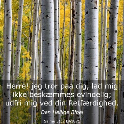 Picture 03 - Salme 31:2 DA1871 - Herre! jeg tror paa dig, lad mig ikke beskæmmes - Bible Verse Picture