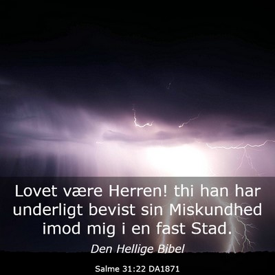 Picture 03 - Salme 31:22 DA1871 - Lovet være Herren! thi han har underligt bevist - Bible Verse Picture