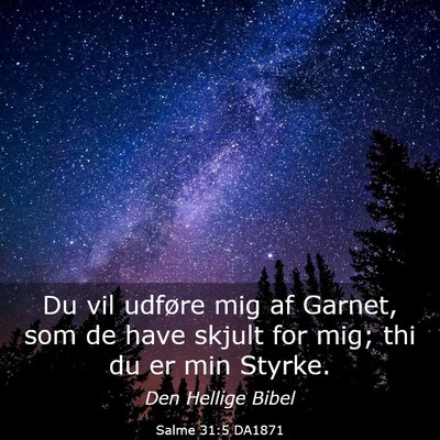 Picture 03 - Salme 31:5 DA1871 - Du vil udføre mig af Garnet, som de have skjult - Bible Verse Picture