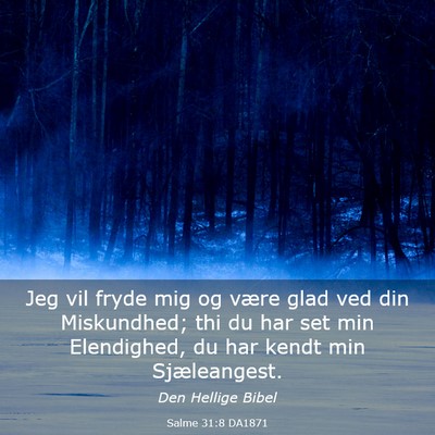 Picture 03 - Salme 31:8 DA1871 - Jeg vil fryde mig og være glad ved din - Bible Verse Picture