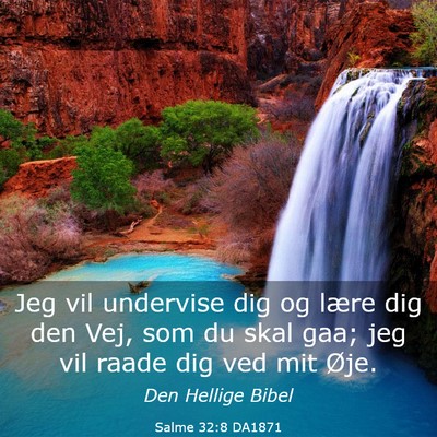 Picture 03 - Salme 32:8 DA1871 - Jeg vil undervise dig og lære dig den Vej, som - Bible Verse Picture