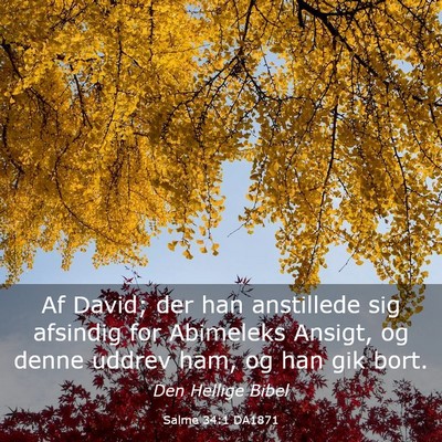 Picture 03 - Salme 34:1 DA1871 - Af David; der han anstillede sig afsindig for - Bible Verse Picture